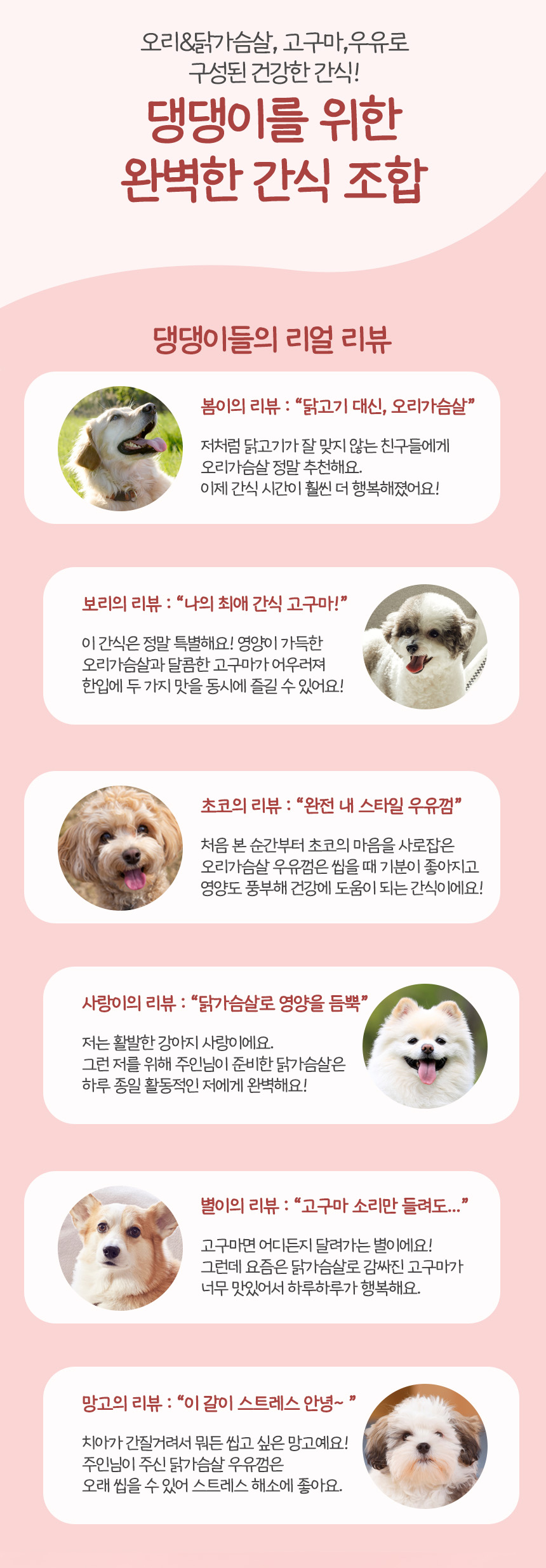 [무료배송] 펫토리아 뚝딱뚝딱 강아지간식 대용량 치킨 콤보 1kg 13번째