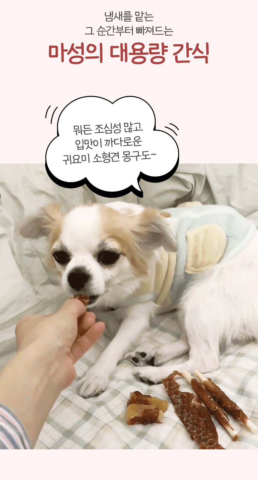 [무료배송] 펫토리아 뚝딱뚝딱 강아지간식 대용량 치킨 콤보 1kg 11번째
