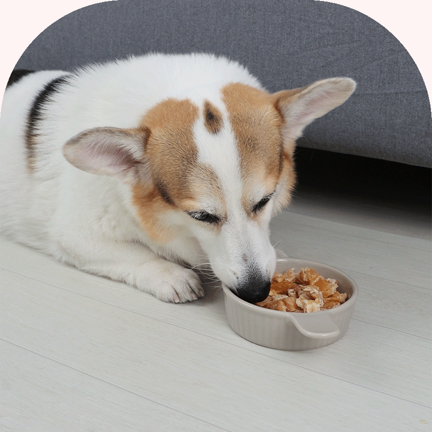 [무료배송] 펫토리아 뚝딱뚝딱 강아지간식 대용량 치킨 콤보 1kg 4번째