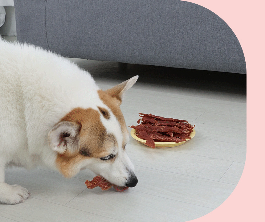 [무료배송] 펫토리아 뚝딱뚝딱 강아지간식 대용량 치킨 콤보 1kg 23번째