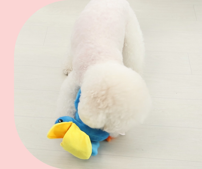 [무료배송] 펫토리아 뚝딱뚝딱 강아지간식 대용량 치킨 콤보 1kg 25번째
