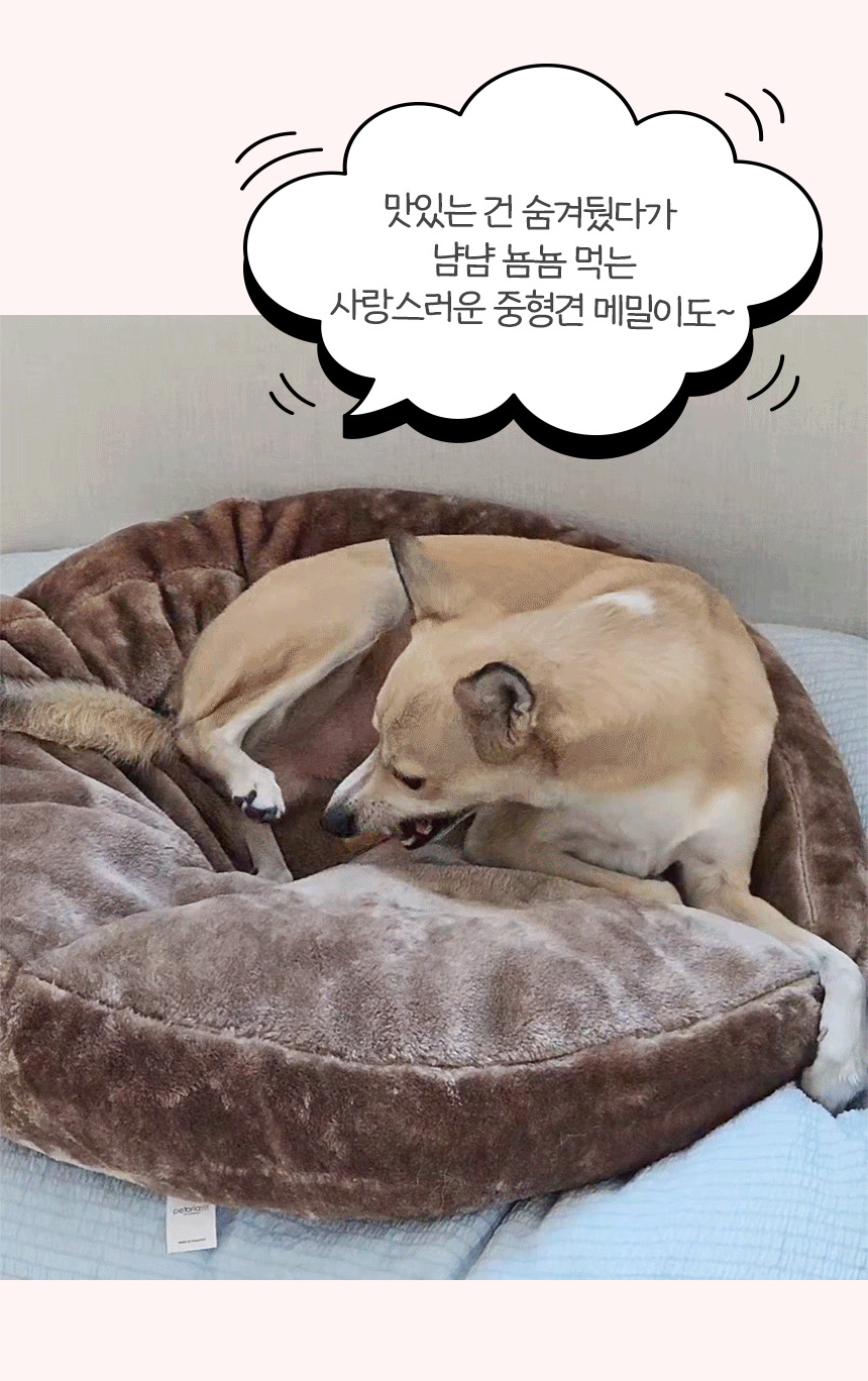 [무료배송] 펫토리아 뚝딱뚝딱 강아지간식 대용량 치킨 콤보 1kg 12번째