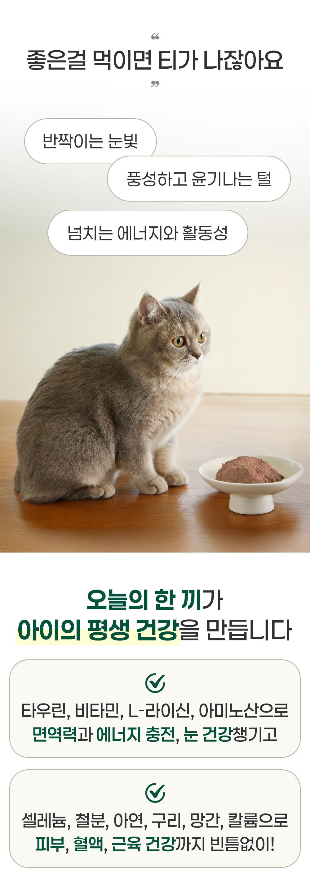 [NEW신상]와즈펫 고양이 프리미엄 습식사료 참치 100g 20번째