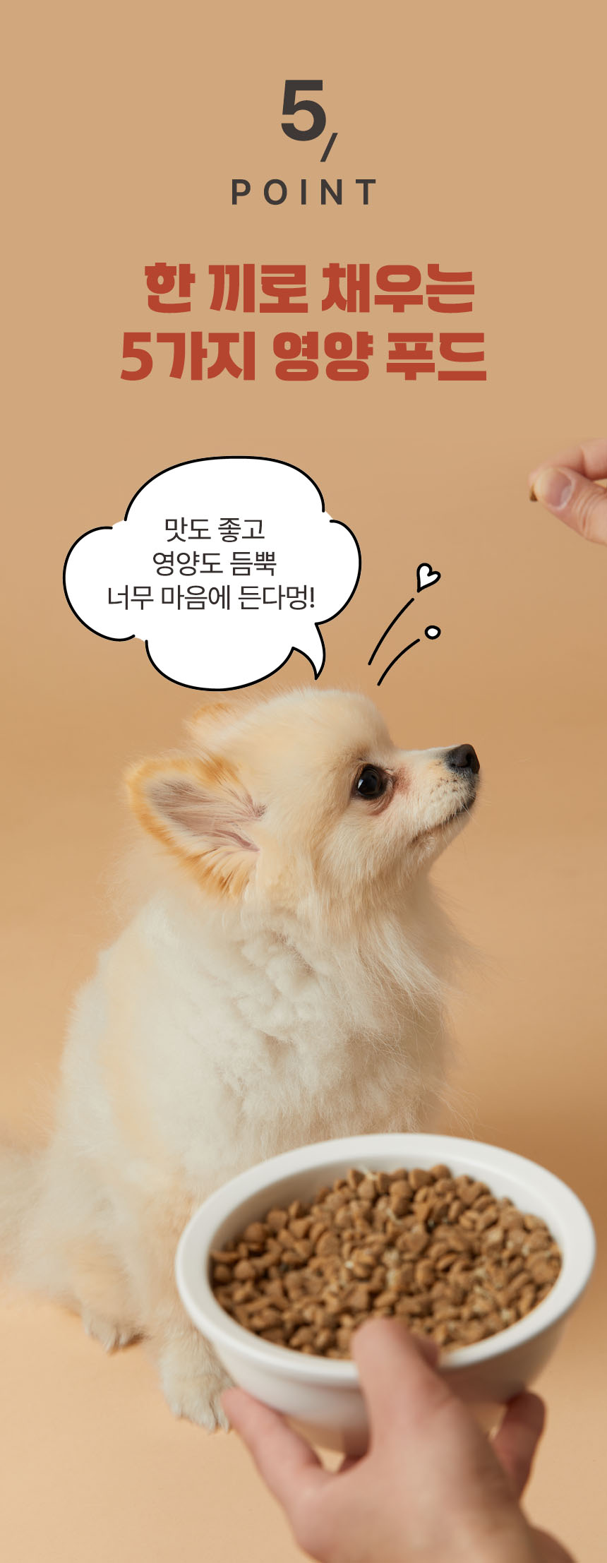 [무료배송] 펫토리아 한끼뚝딱 독 클래식 오리 5.2kg 30번째