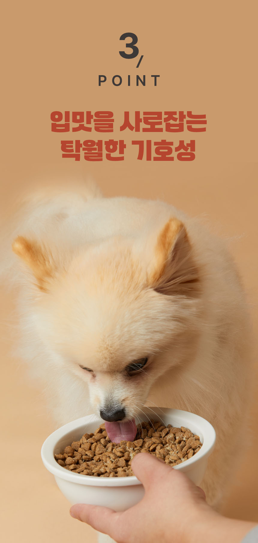 [무료배송] 펫토리아 한끼뚝딱 독 클래식 오리 5.2kg 24번째