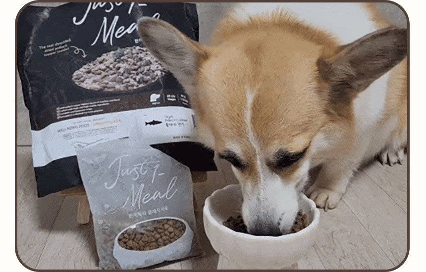 [무료배송] 펫토리아 한끼뚝딱 독 클래식 오리 5.2kg 9번째
