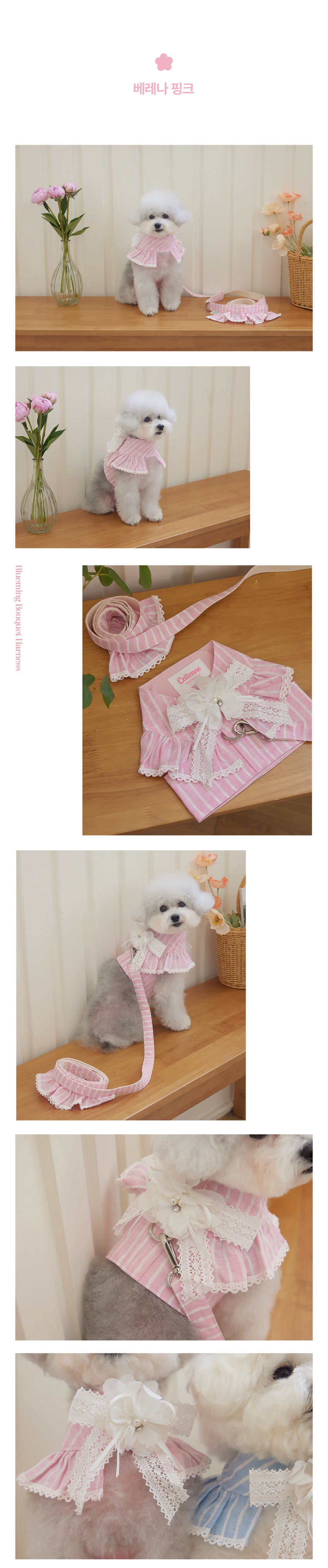 [무료배송] 꼬뗀느 블루밍 부케 하네스 베레나핑크/워터블루 S-XL 6번째