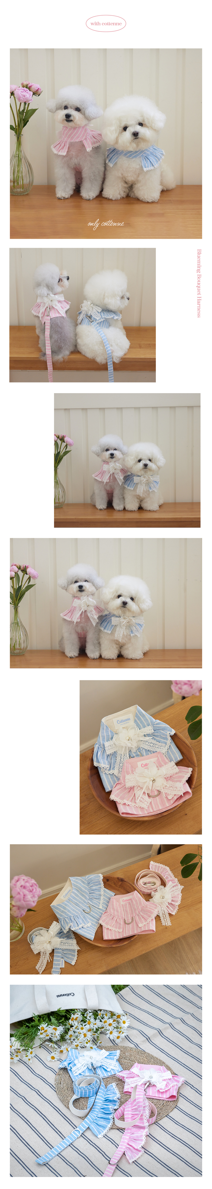 [무료배송] 꼬뗀느 블루밍 부케 하네스 베레나핑크/워터블루 S-XL 9번째