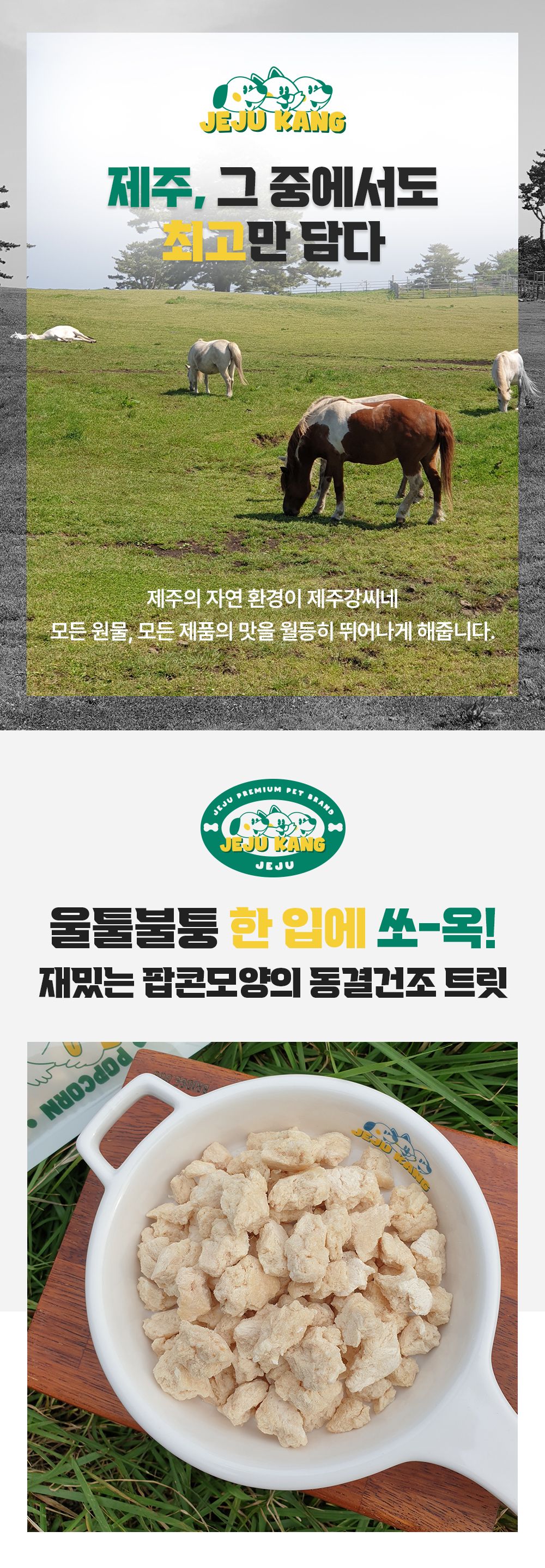 [무료배송] 제주강씨네 팝콘 말고기100g 2번째