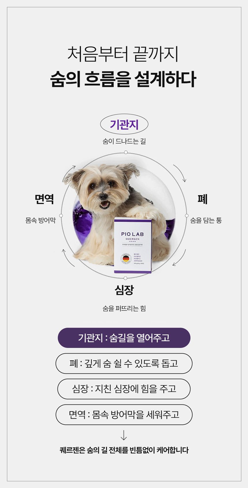 [NEW신상][무료배송] 피오랩 퀘르젠 기관지 영양제 30포 7번째