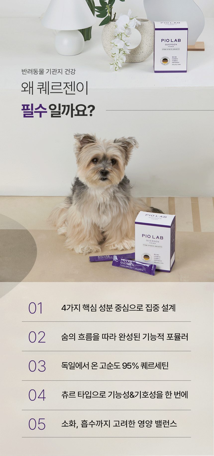 [NEW신상][무료배송] 피오랩 퀘르젠 기관지 영양제 30포 5번째