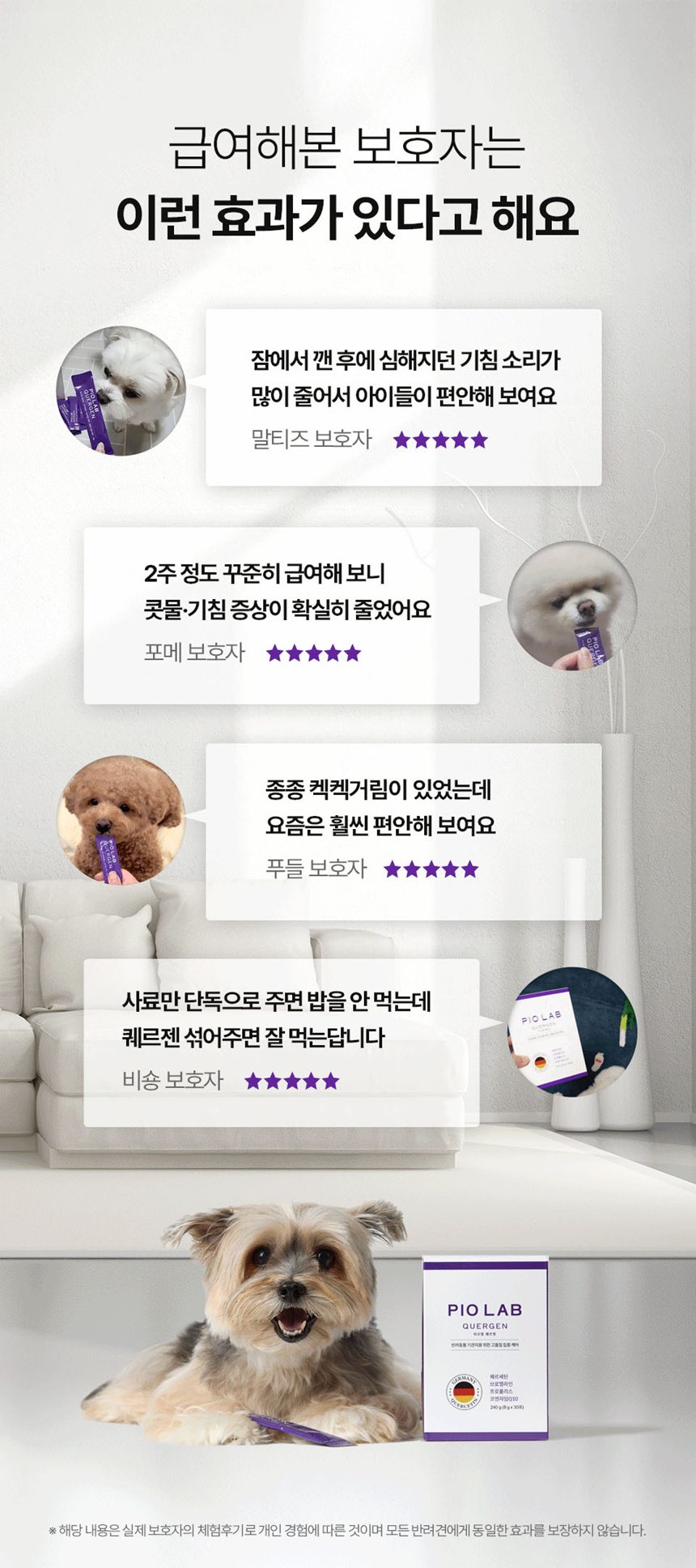 [NEW신상][무료배송] 피오랩 퀘르젠 기관지 영양제 30포 11번째