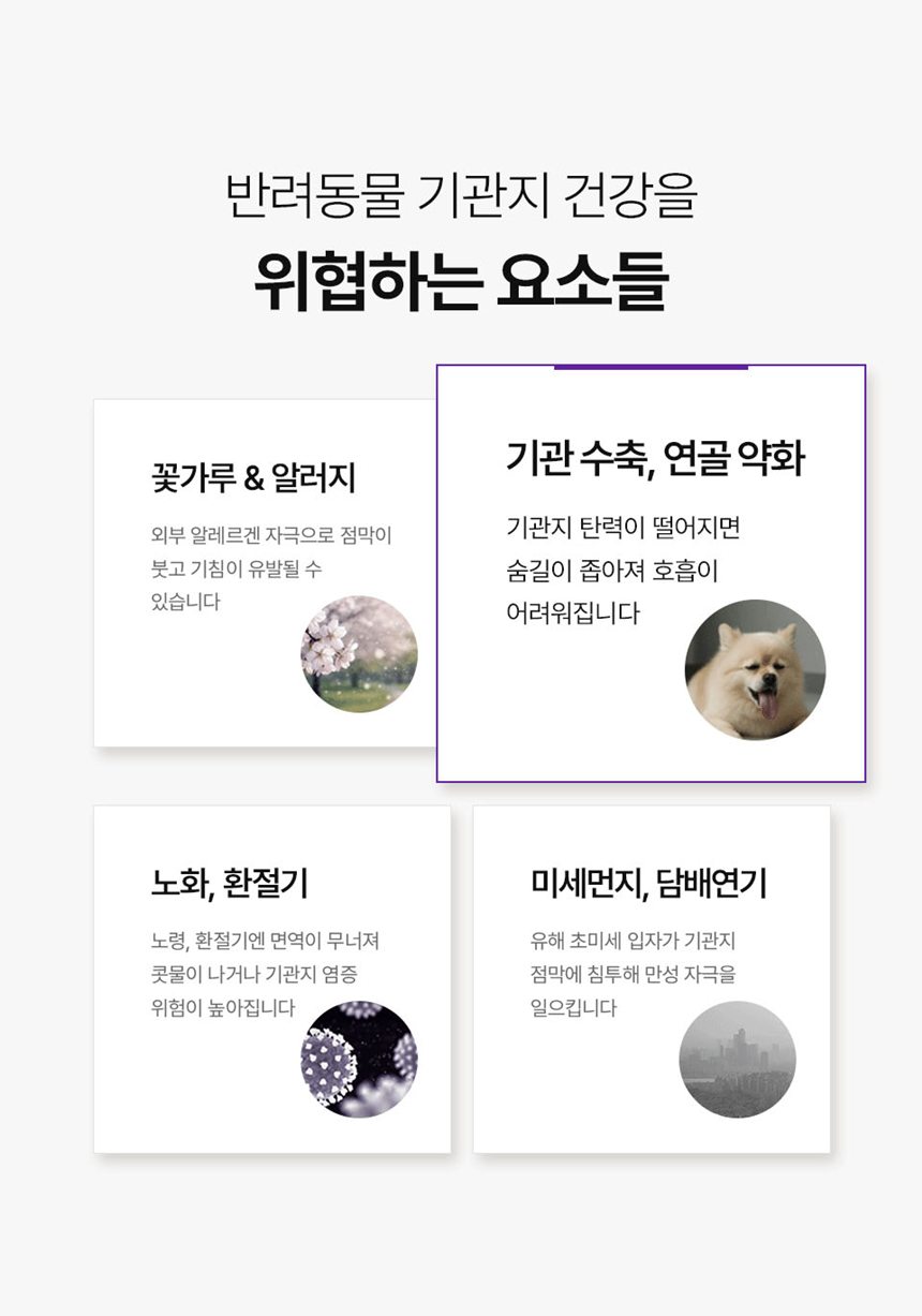 [NEW신상][무료배송] 피오랩 퀘르젠 기관지 영양제 30포 2번째