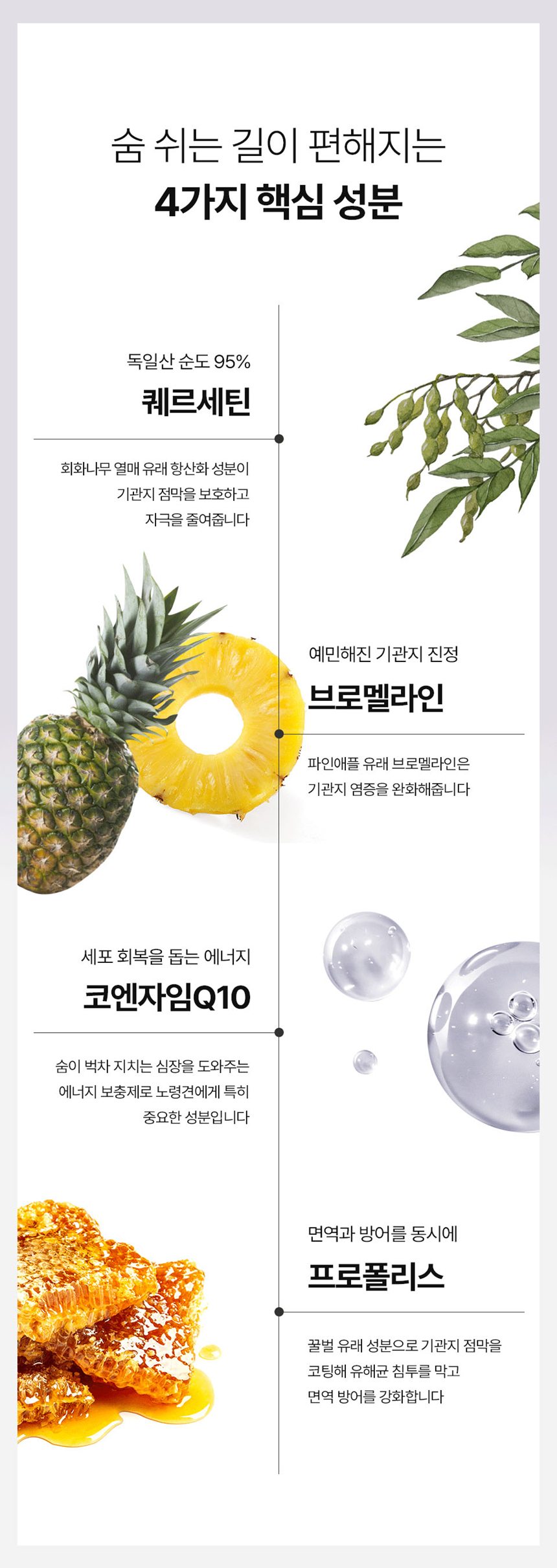 [NEW신상][무료배송] 피오랩 퀘르젠 기관지 영양제 30포 6번째