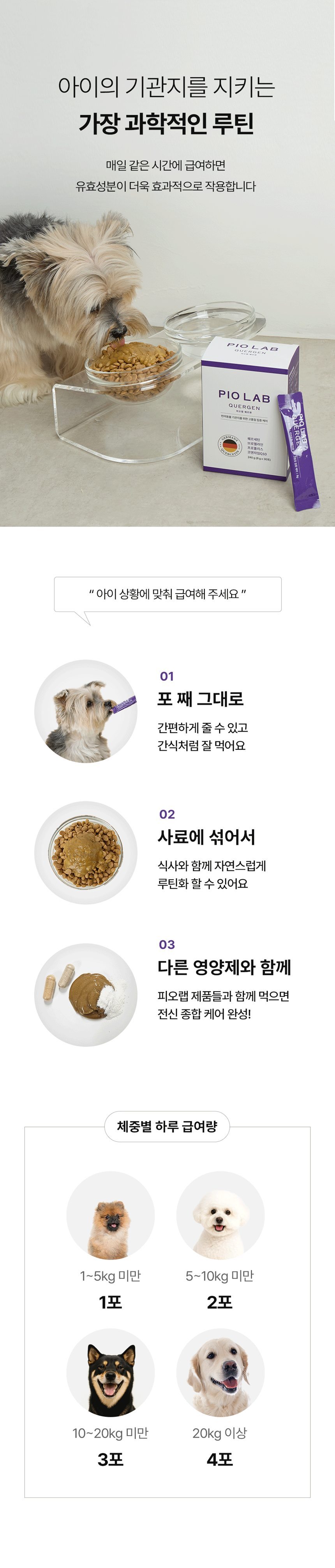 [NEW신상][무료배송] 피오랩 퀘르젠 기관지 영양제 30포 14번째