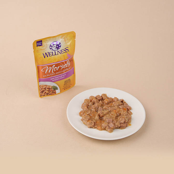 웰니스 캣 헬시 인덜전스 머셀 연어&참치 파우치 85g 2번