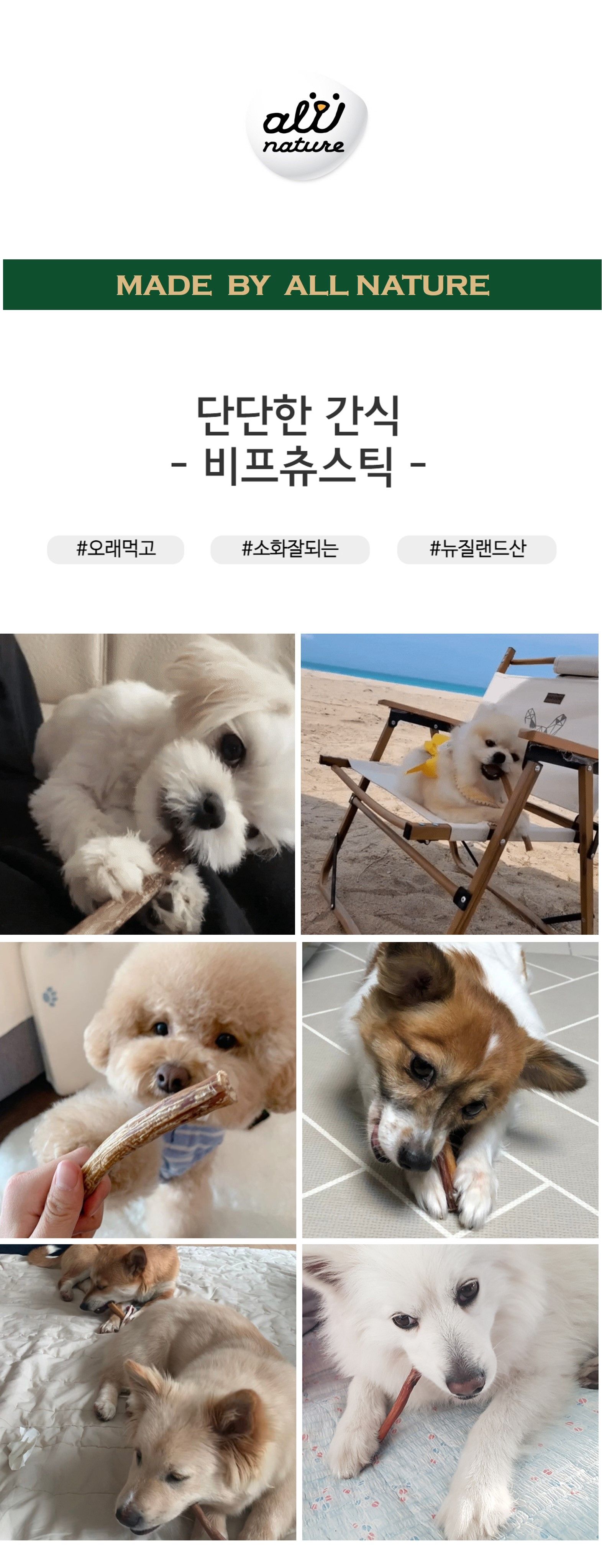 올네이쳐 독 천연 건조 비프츄 스틱 40g 1번째