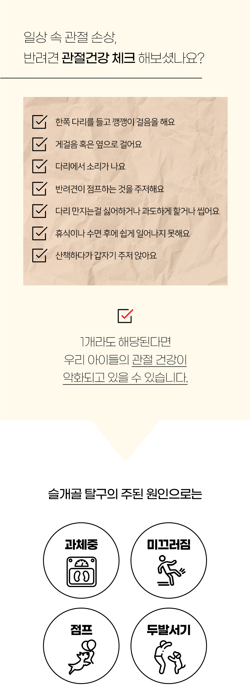 [NEW신상][무료배송] 개과천선 독 오드 펫스텝 계단 (아이보리/그레이) 3번째