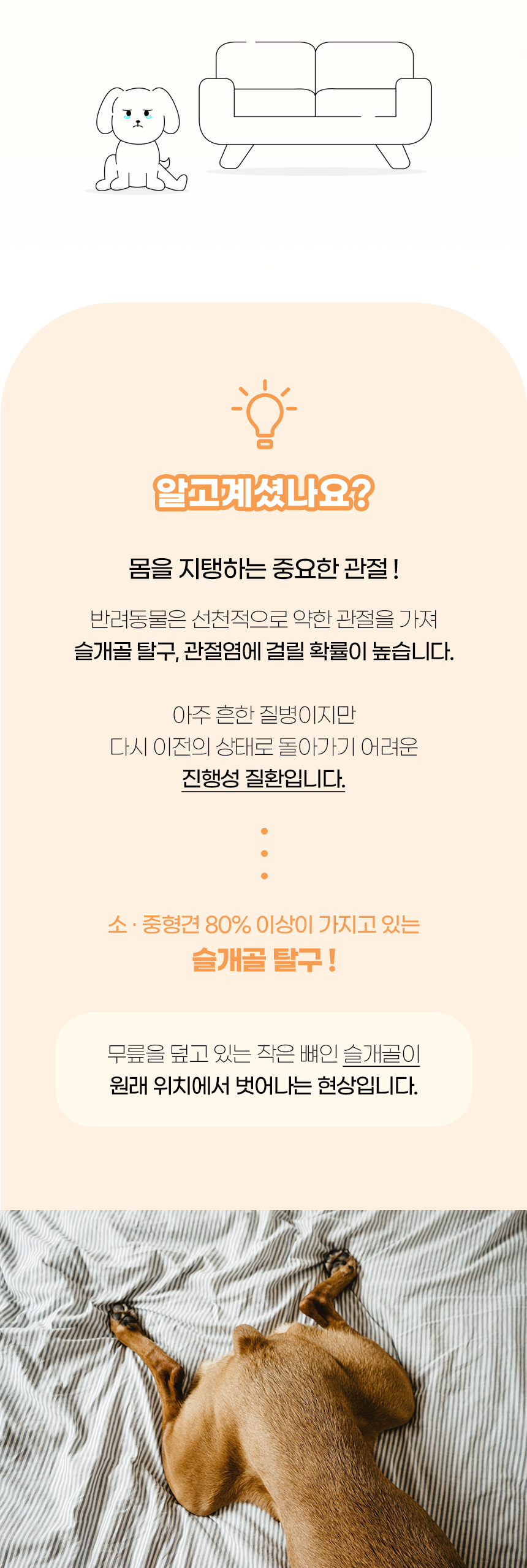 [NEW신상][무료배송] 개과천선 독 오드 펫스텝 계단 (아이보리/그레이) 2번째