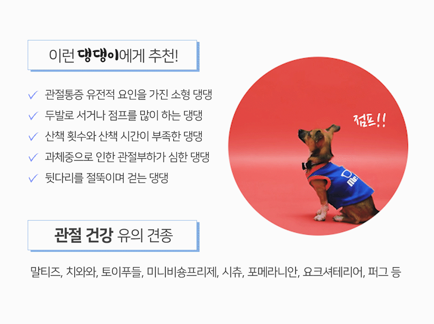 [NEW신상][무료배송] 맘맘영양밤 무항생제 닭고기+가바 관절 토탈케어 15p 9번째