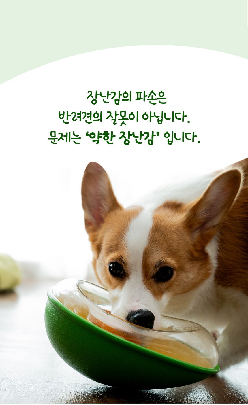 포우퀘스트 아보카도 흘림방지 노즈워크 오뚝이 장난감 26번째