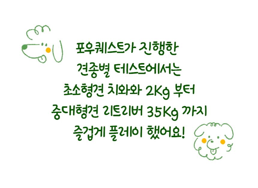 포우퀘스트 아보카도 흘림방지 노즈워크 오뚝이 장난감 31번째