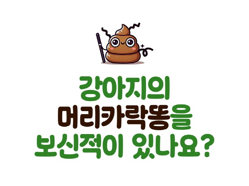 포우퀘스트 아보카도 흘림방지 노즈워크 오뚝이 장난감 1번째