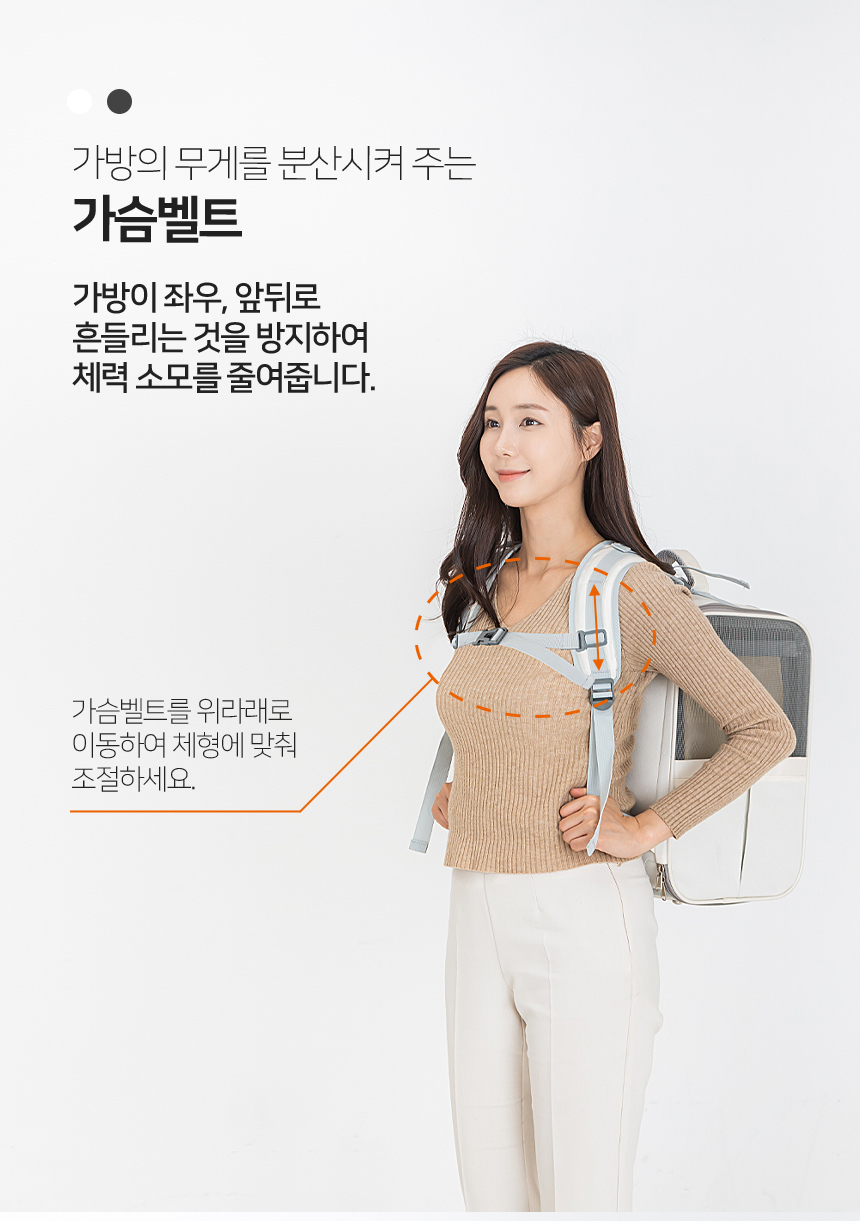 [무료배송] 레토 강아지 이동가방 백팩 대형 LDD-B04P 10번째