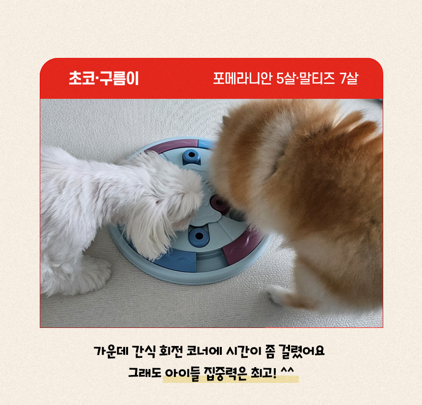 [NEW신상][무료배송] 펫마블 피자 노즈워크 장난감 4번째