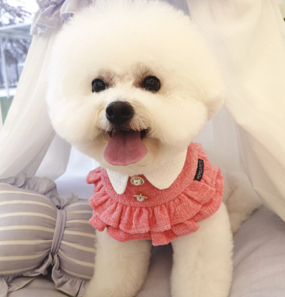 [NEW신상][무료배송] 리치독스 트위드 진주 스커트 케이프 핑크 2번째