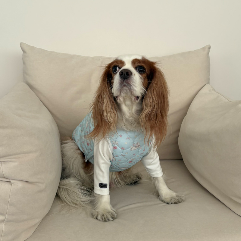 [NEW신상][무료배송] 해피댕댕 토끼핫팩패딩 2종 (핑크,소라) S-2XL 9번째