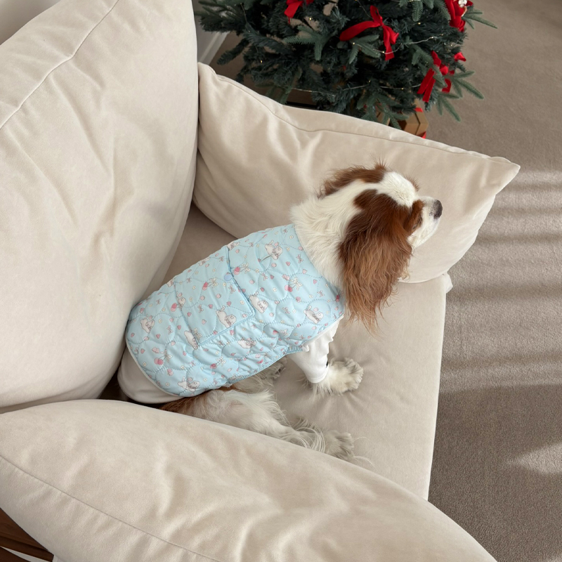 [NEW신상][무료배송] 해피댕댕 토끼핫팩패딩 2종 (핑크,소라) S-2XL 11번째