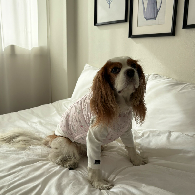 [NEW신상][무료배송] 해피댕댕 토끼핫팩패딩 2종 (핑크,소라) S-2XL 16번째