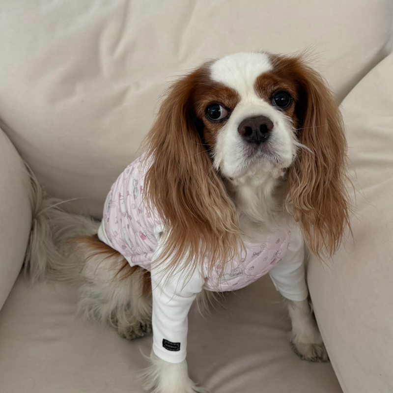 [NEW신상][무료배송] 해피댕댕 토끼핫팩패딩 2종 (핑크,소라) S-2XL 15번째