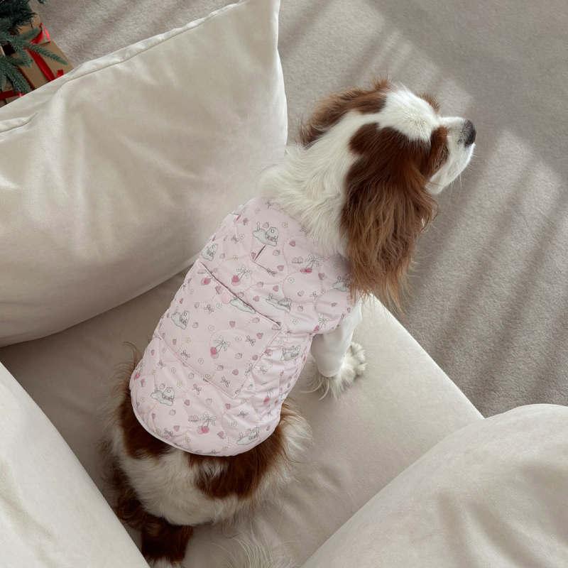 [NEW신상][무료배송] 해피댕댕 토끼핫팩패딩 2종 (핑크,소라) S-2XL 18번째