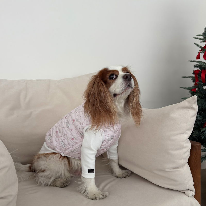 [NEW신상][무료배송] 해피댕댕 토끼핫팩패딩 2종 (핑크,소라) S-2XL 17번째