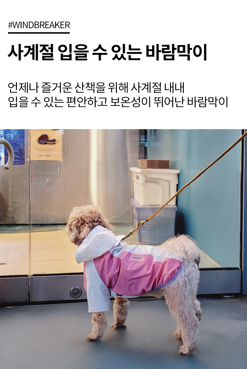 [무료배송] 레토 강아지 우비 바람막이 LDR-A02 7번째