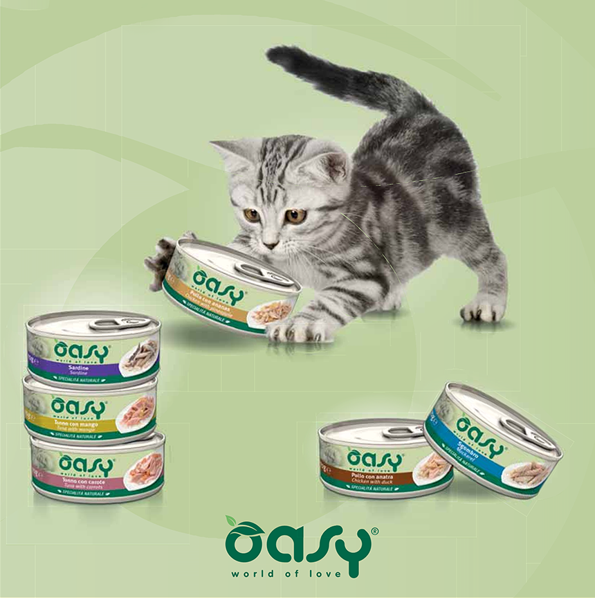 [NEW신상]오아지 캣 네츄럴레인지 참치 키튼 캔 70g 5번째