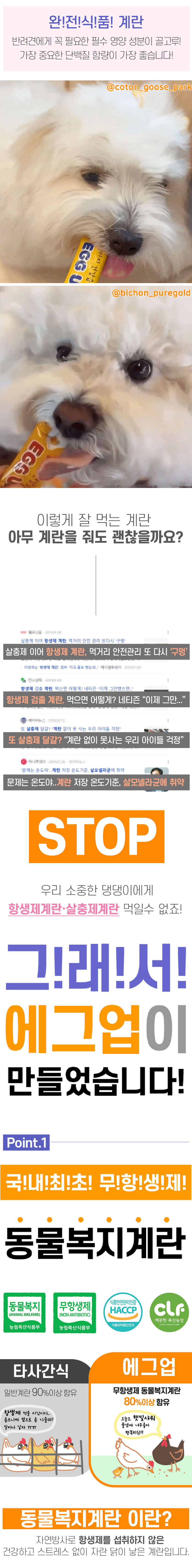 [NEW신상][무료배송] [1+1] 에그업 강아지 짜먹는 계란 스틱 간식 360g (12gx30p) 2번째