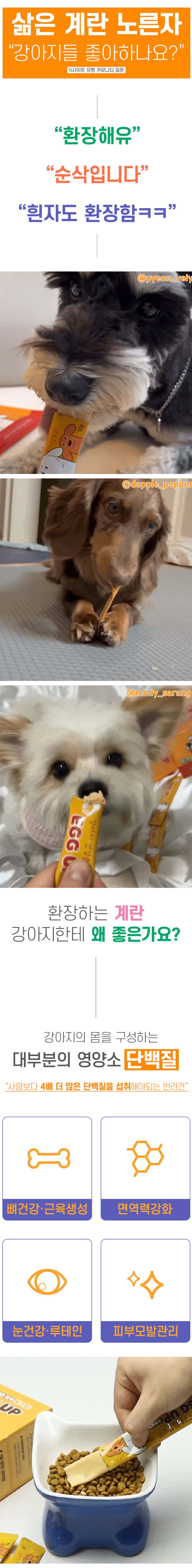 [NEW신상][무료배송] [1+1] 에그업 강아지 짜먹는 계란 스틱 간식 360g (12gx30p) 1번째