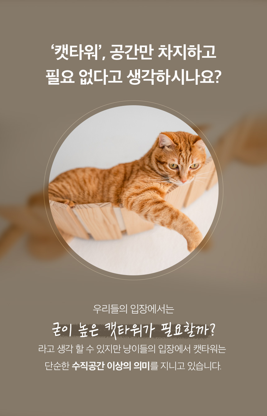 [무료배송] 페리가토 고양이 원목 캣폴 스크래쳐 4단 구름다리 숨숨집 대형 캣타워 1번째