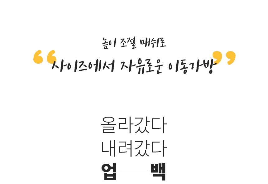 [무료배송] 마이플러피 독 이동가방 업백 베이지 M/L 3번째