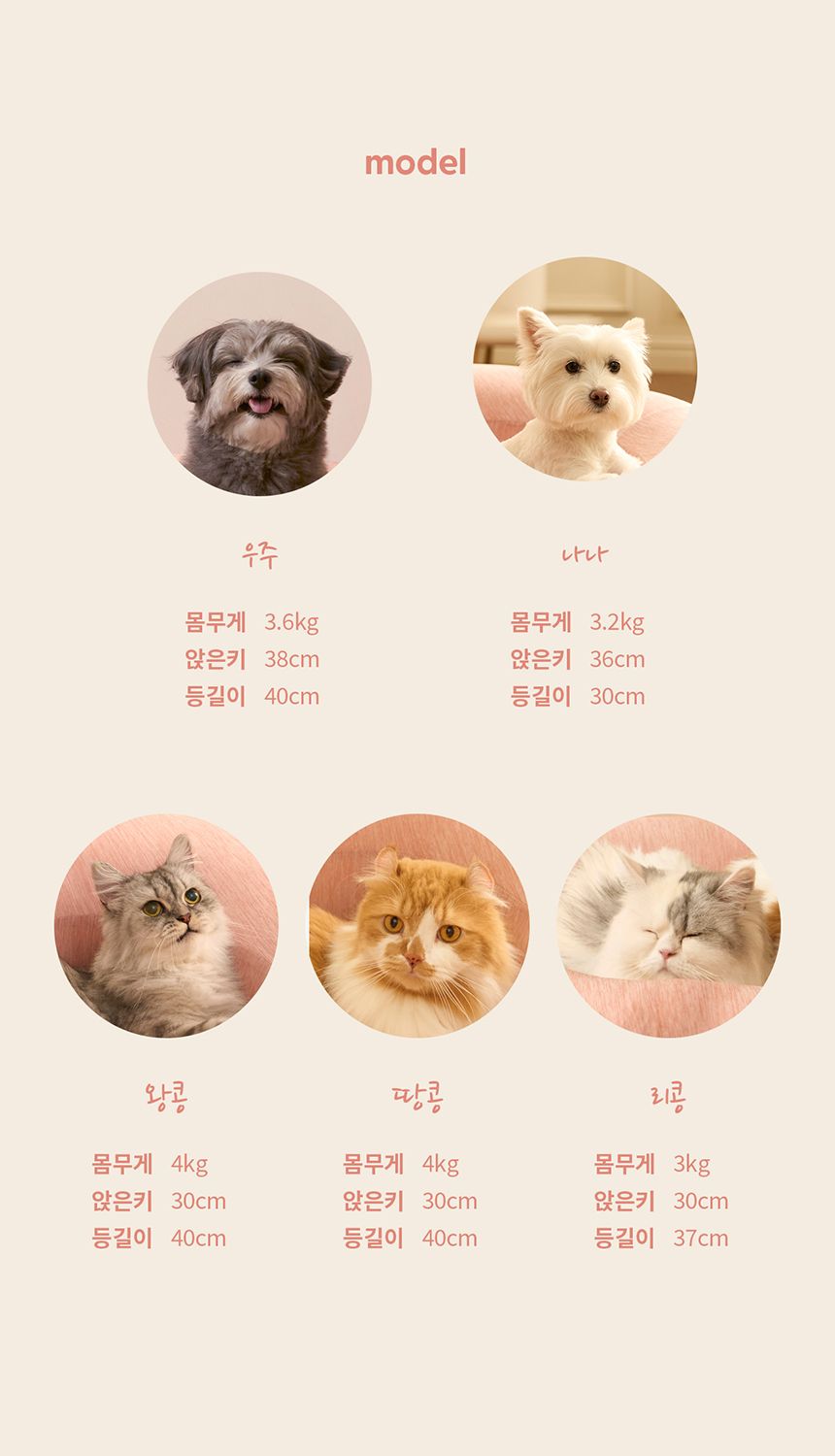 [NEW신상][무료배송] 두잇 네스트베드 고양이 해먹 쿠션 17번째