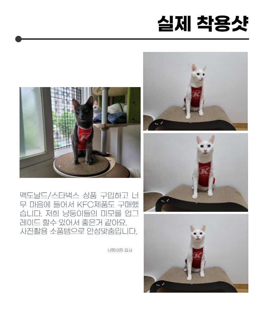 [무료배송] 냥슬아치 치킨 종업원 티셔츠 앞치마 S-L 7번째