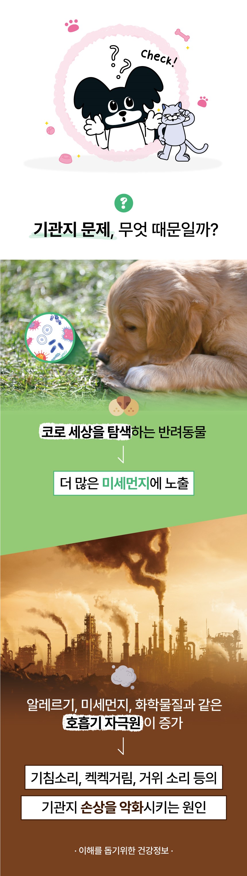 [무료배송] 닥터리코 브레스 기관지 영양제 90g 5번째