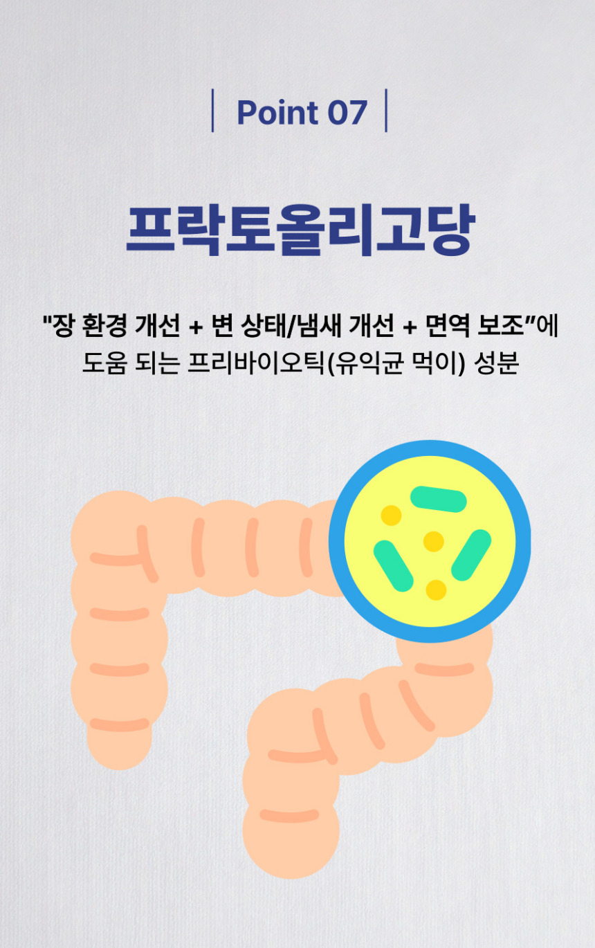 [NEW신상][무료배송] 댕그래 평생살개 100g 12번째