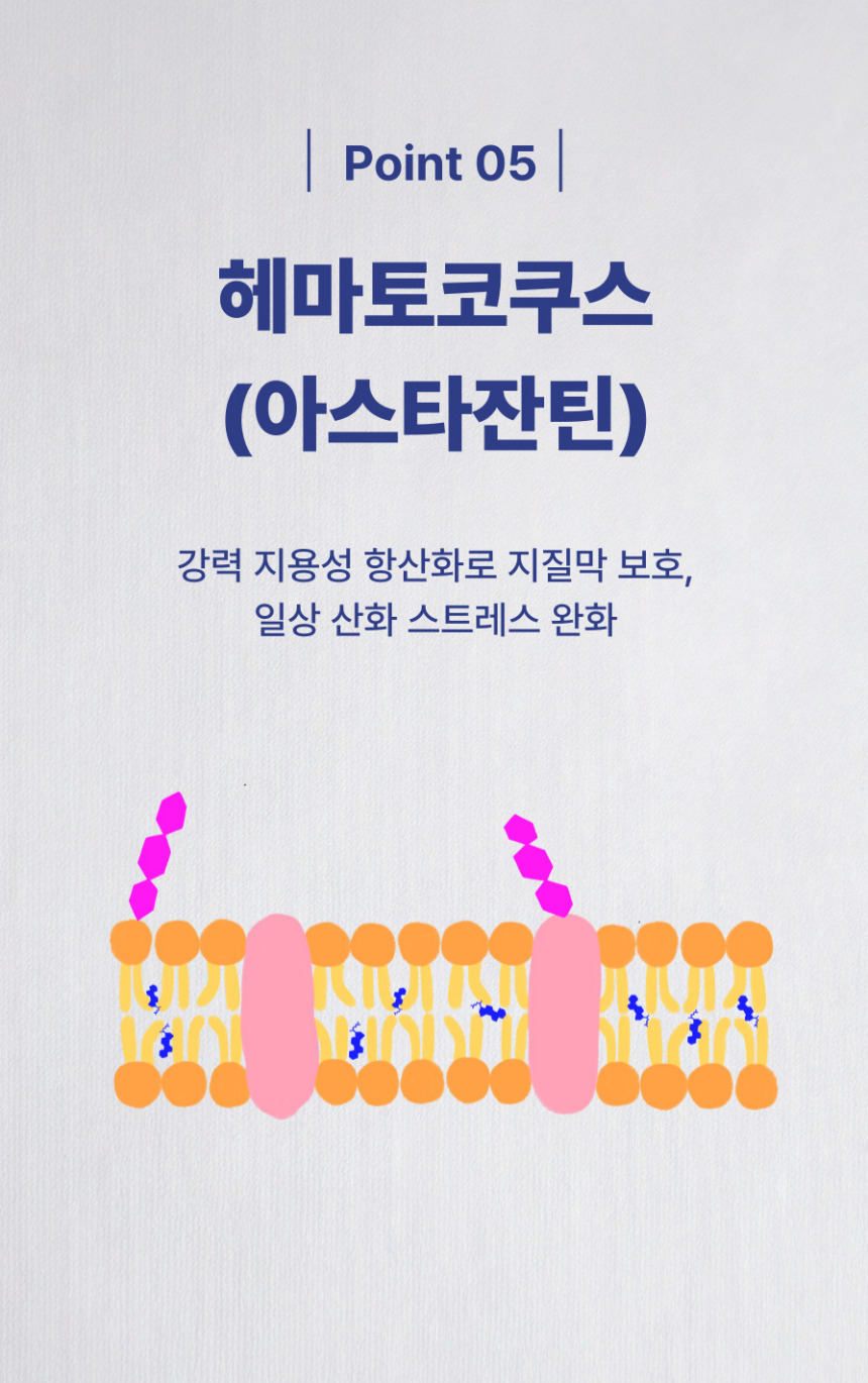 [NEW신상][무료배송] 댕그래 평생살개 100g 10번째