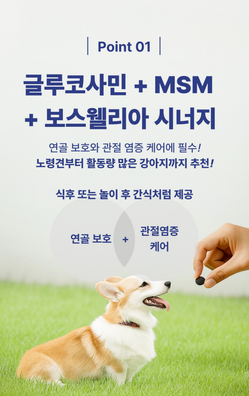 [NEW신상][무료배송] 댕그래 평생살개 100g 6번째