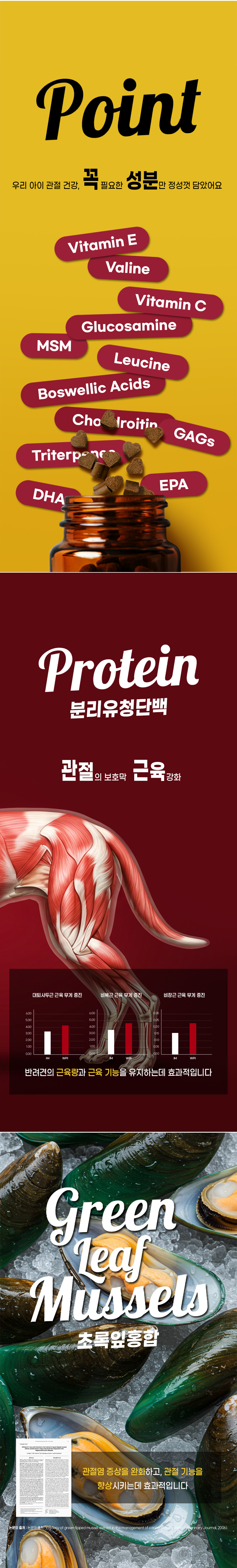 [무료배송] 더보양 독 올데이31 뉴조인트 관절 영양제 160정 4번째