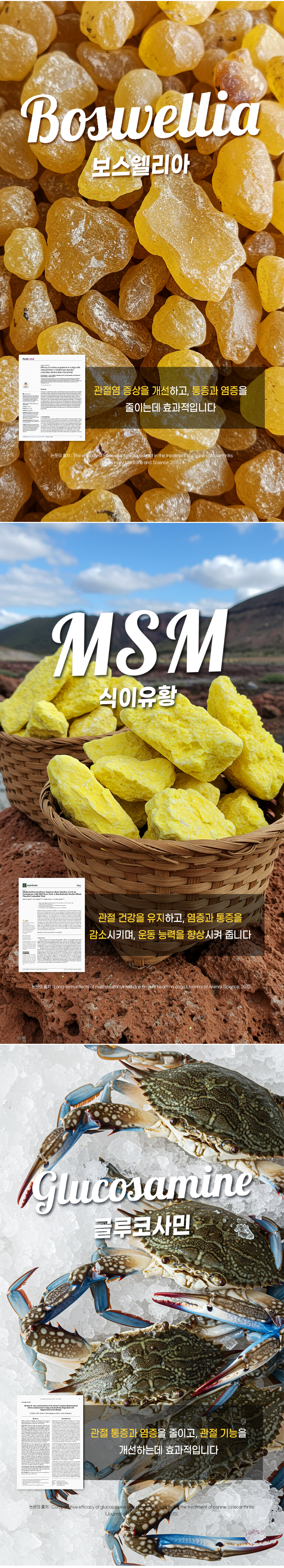 [무료배송] 더보양 독 올데이31 뉴조인트 관절 영양제 160정 5번째